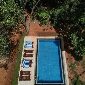 Isanka Lion , Sigirîya Sri Lanka